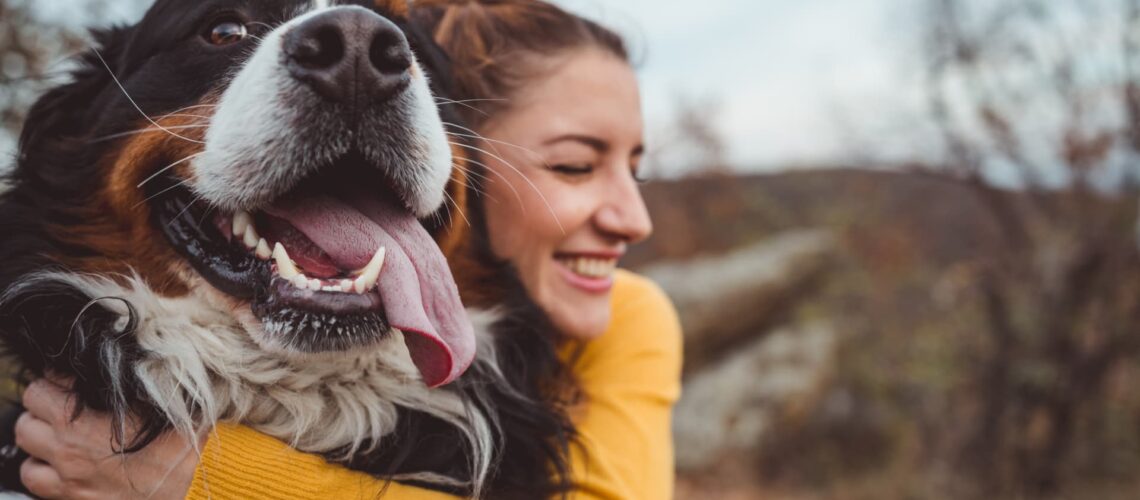 Best Pet Insurance For Dogs 2025