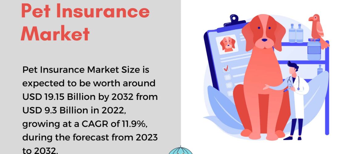 Pet Insurance Market Predicted to Grow at 11.9% CAGR By 2033