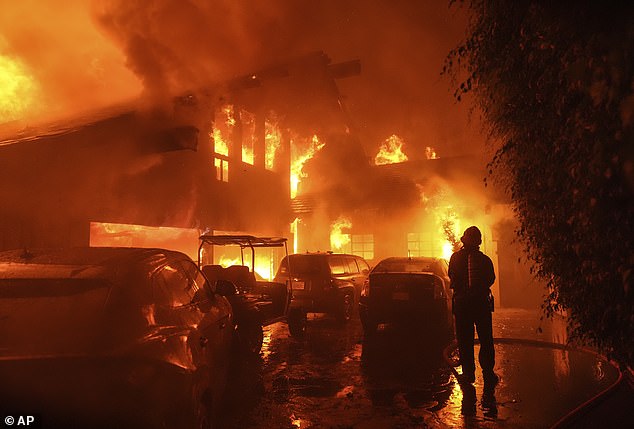 The cost of reinsurance has boomed in recent years, due to the increased risk of natural disasters in the state (Pictured: The Franklin Fire in Malibu earlier this month)